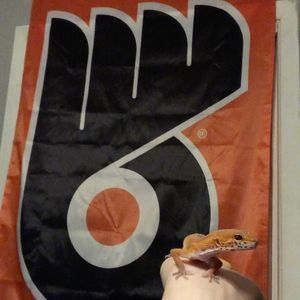 Meet your Posher, Dakota